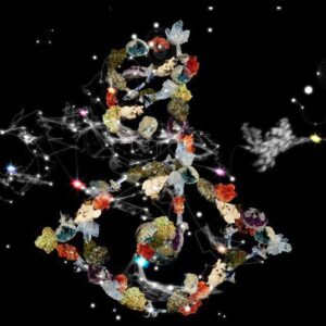 Biophilia (New LP)