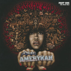 NEW AMERYKAH PART ONE (4TH WOR (CD)