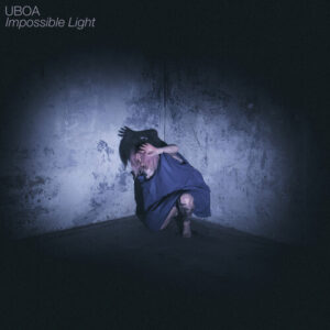 Impossible Light (New LP)