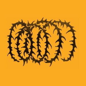 Cartwheel (New LP)