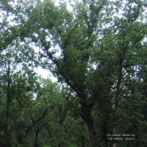 The Magic Place (2024 Remastered) (New LP)