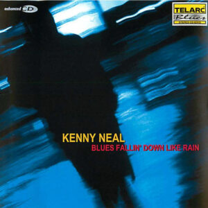 Blues Fallin' Down Like Rain (CD)