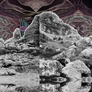 Dying Surfer Meets His Maker (New LP)