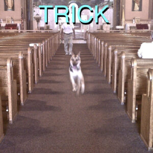 TRICK (NEW LP)