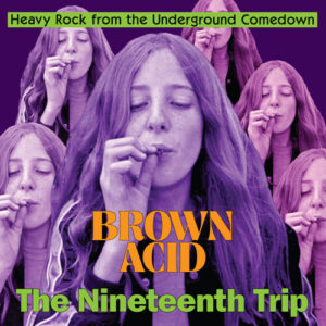 Brown Acid - The Nineteenth Trip (New LP)
