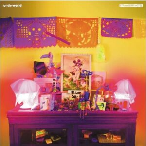 Strawberry Hotel (New LP)
