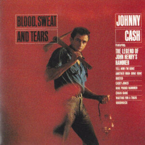 BLOOD SWEAT AND TEARS (CD)