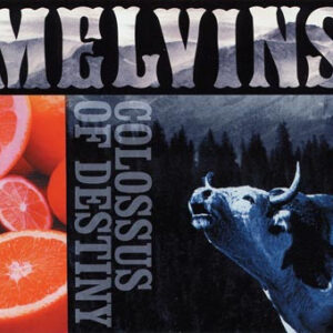 Colossus Of Destiny (CD)