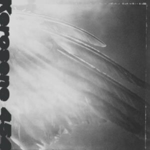 Came By To Kill Me (New LP)