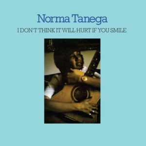 I Don't Think It Will Hurt If You Smile (CD)