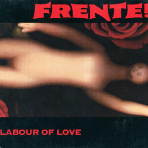 Labour Of Love (CD)