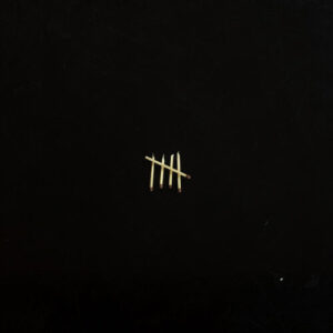 Sault 5 (New LP)