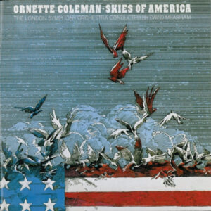 Skies Of America (CD)
