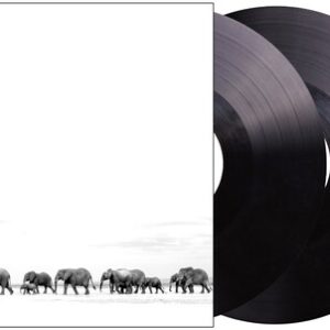 Where Are You Going: The Singles (New LP)