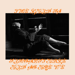 Land Is Inhospitable and So Are We (New LP)