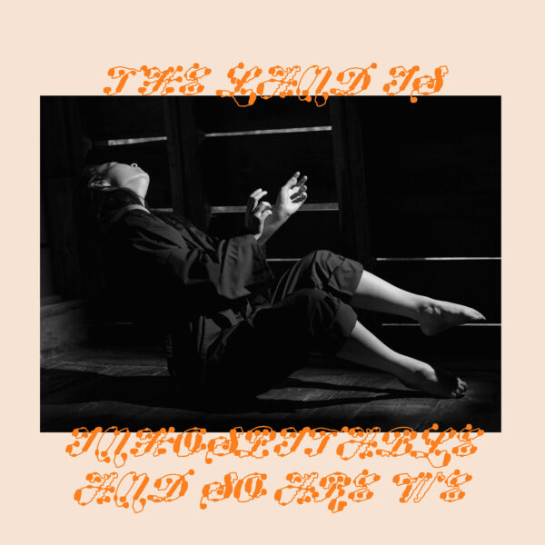 Land Is Inhospitable and So Are We (New LP)