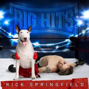 Big Hits: Rick Springfield's (CD)