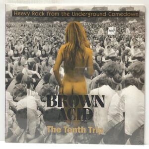 Brown Acid The Tenth Trip (USED LP)