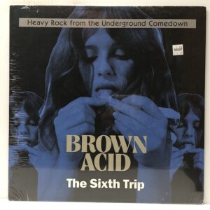 Brown Acid The Sixth Trip (USED LP)