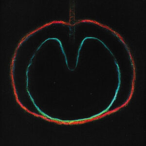 WASP STAR (APPLE VENUS VOL. 2) (CD)