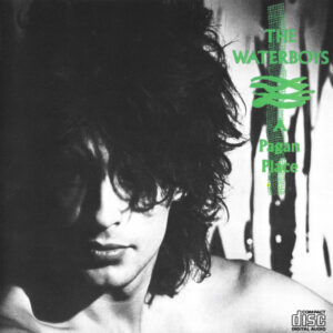 A Pagan Place (CD)