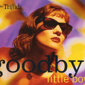 Goodbye Little Boy (CD)