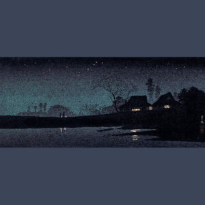 Stumbledown Terrace (New LP)