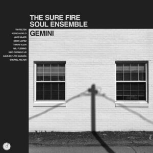 Gemini (New LP)