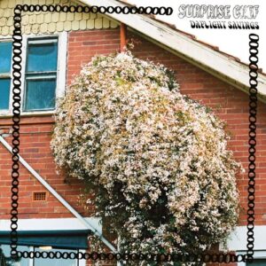 Daylight Savings (NEW LP)