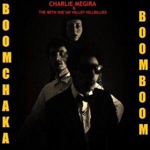 Boom Chaka Boom Boom (New LP)