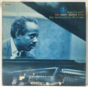 Magnificent (USED LP)