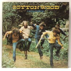 Camaraderie (USED LP)