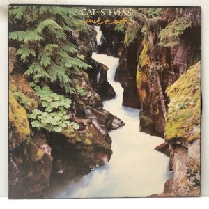Back to Earth (USED LP)