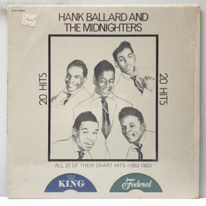 20 Hits (USED LP)