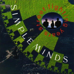 Street Fighting Years (CD)