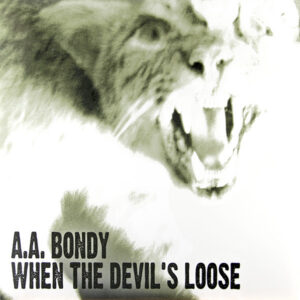 WHEN THE DEVIL'S LOOSE (CD)