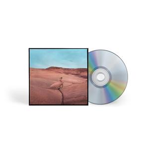 STRAYS (CD)