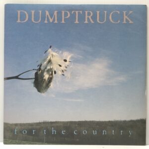 For the Country (USED LP)
