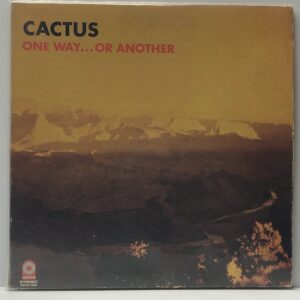 One Way or Another (USED LP)
