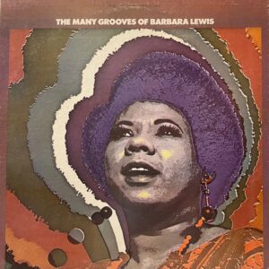 Many Grooves of (USED LP)