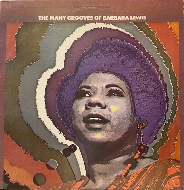 Many Grooves of (USED LP)