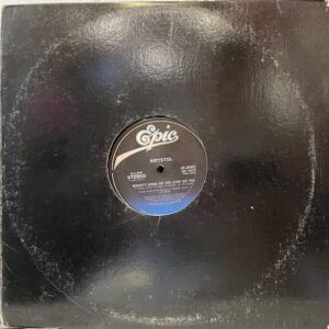 Nobodys Gonna Get This Lovin But You (USED LP)