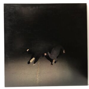 Past Life (USED LP)