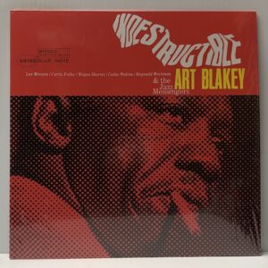 Indestructible (USED LP)