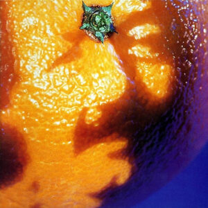 PICTURE OF NECTAR (CD)