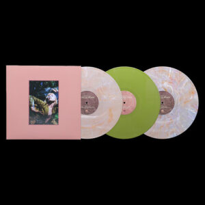 FLOWERS for VASES + Petals for Armor (New LP)