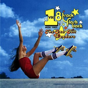 ONE HIT WONDERS (CD)