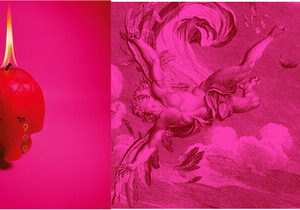 Pink Elephant (New LP)