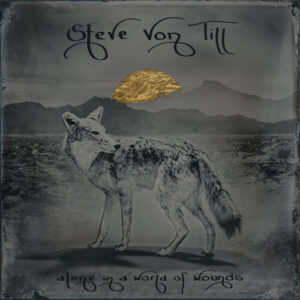 Alone In A World Of Wounds (CD)