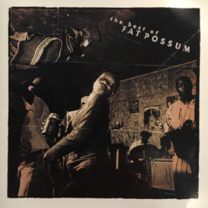 Best Of Fat Possum (CD)